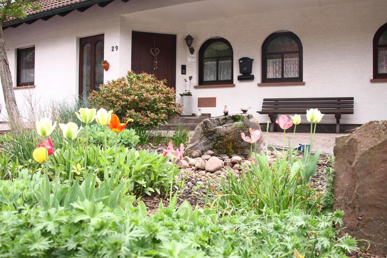 Haus Apartment *