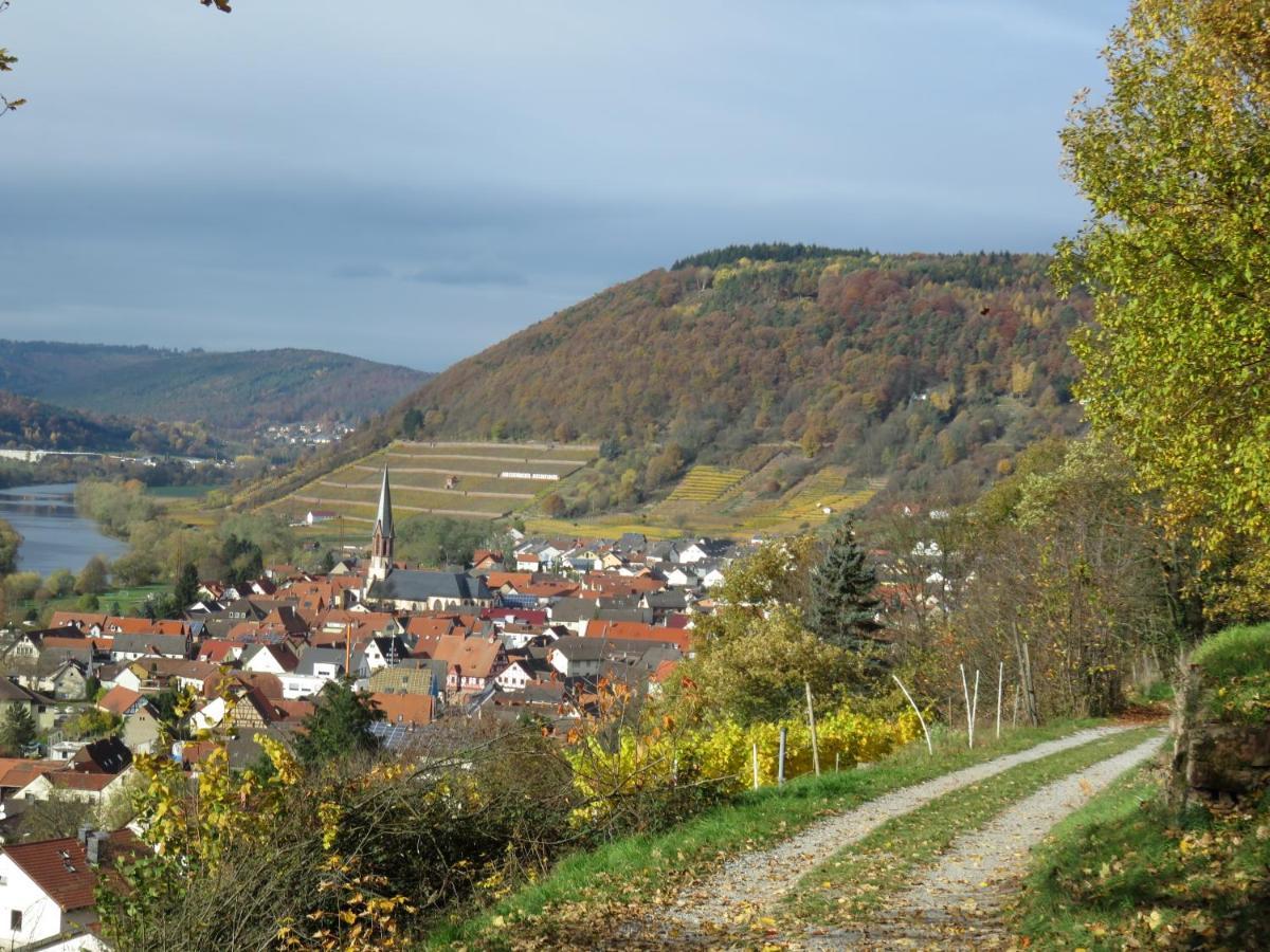 Haus Apartment Grossheubach